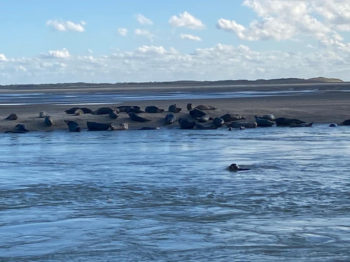 Cote Port Lägenhet Le Crotoy Exteriör bild